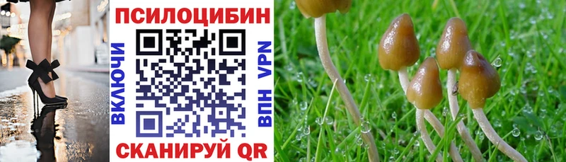 Галлюциногенные грибы мицелий  блэк спрут ТОР  маркетплейс официальный сайт  Городище 